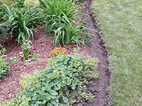 Espacio de vida al aire libre con zona de estar y plantas